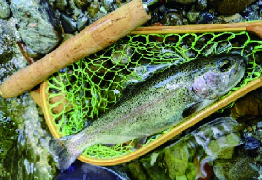 TOKYOトラウトカントリー・レストランメイフライ