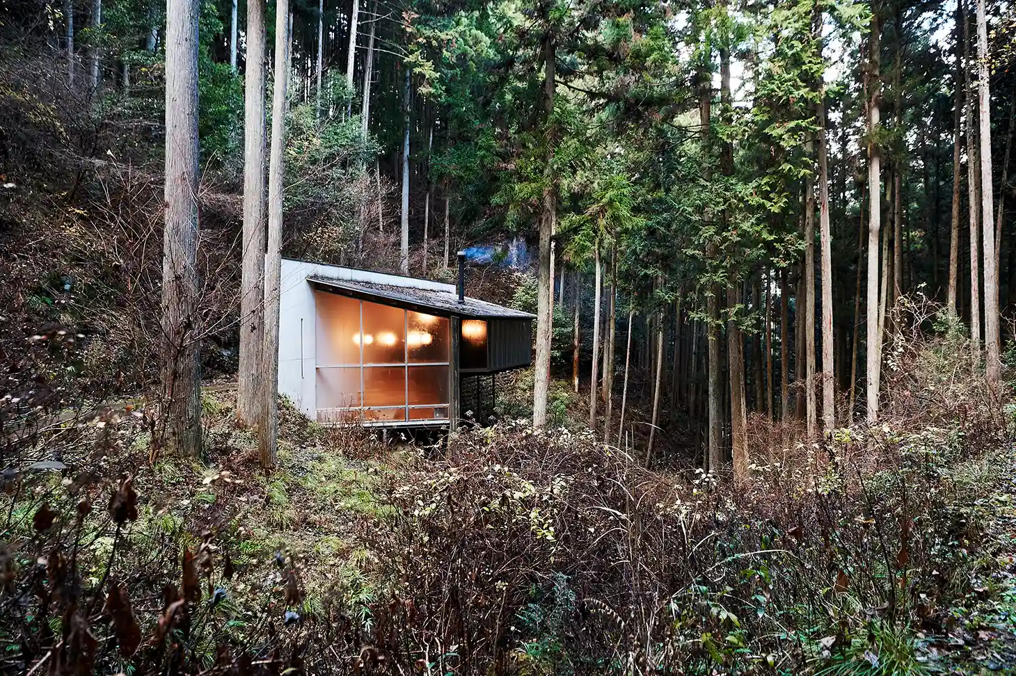 森林セラピーロード