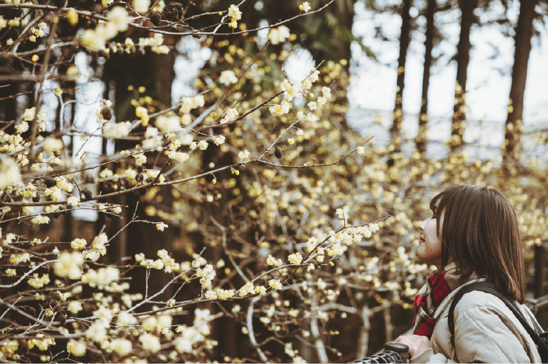 梅の郷 ひと駅歩き